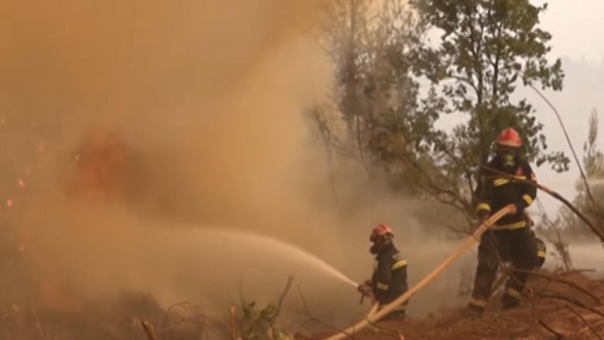 incendiile-continua-sa-mistuie-grecia-nu-stim-ce-ne-va-aduce-ziua-de-maine--suntem-cu-totii-disperati