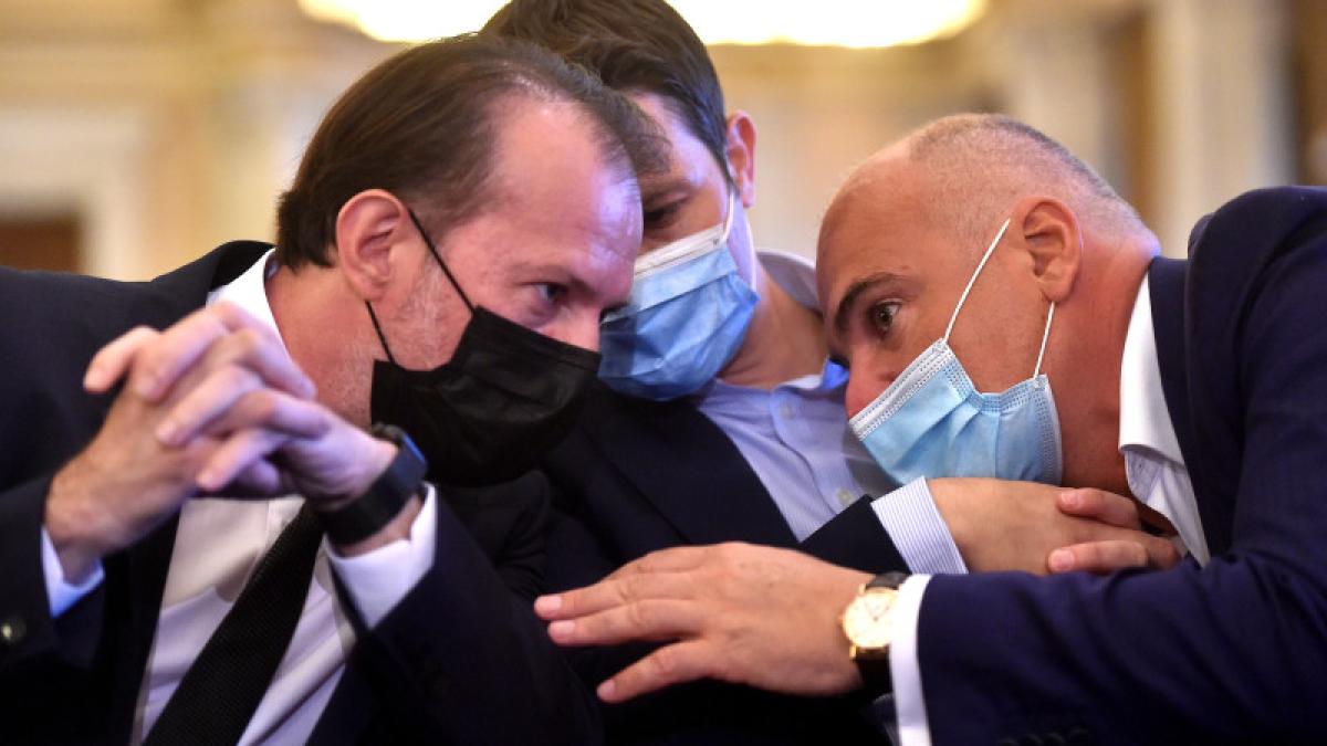 rares-bogdan-si-florin-citu