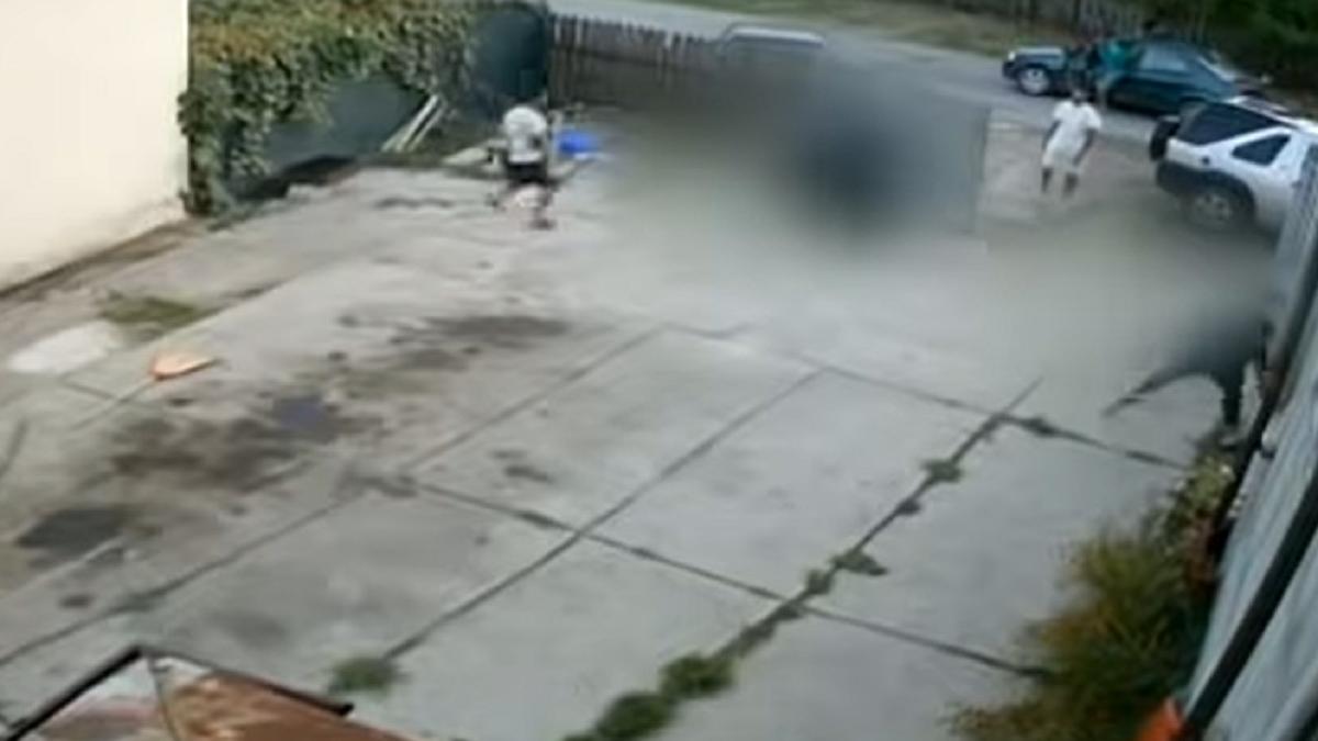 padurar-roman--batut-in-propria-curte-de-niste-indivizi-pe-care-ii-prinsese-la-furat-de-lemne--imagini-socante---video