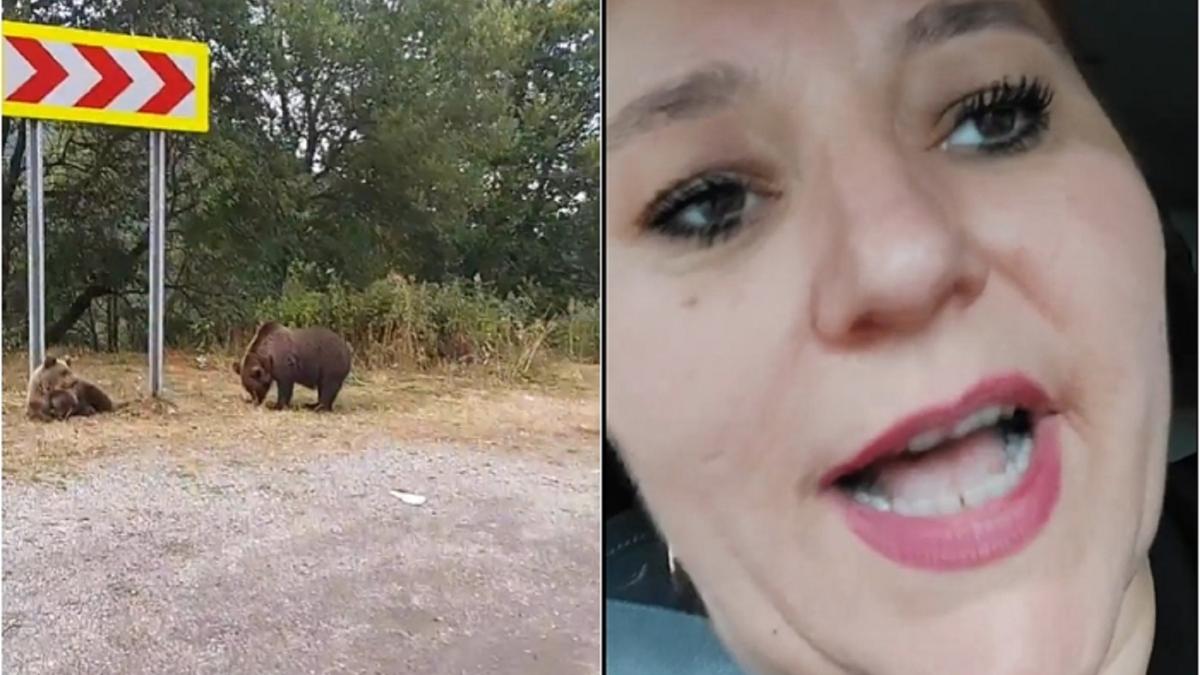 diana-sosoaca-s-a-transformat-in-avocata-ursilor--senatoarea-i-a-certat-pe-localnici-ca-i-alunga--in-loc-sa-i-hraneasca---video
