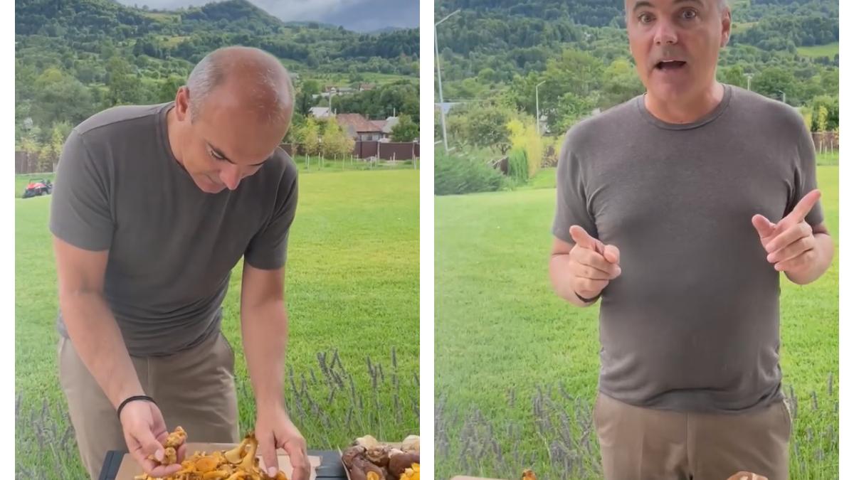 rares-bogdan-reteta-de-ciuperci