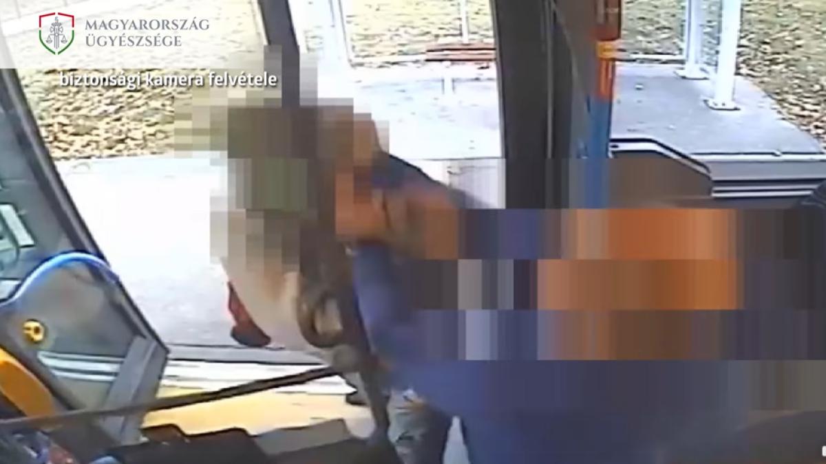 ungaria-sofer-atacat