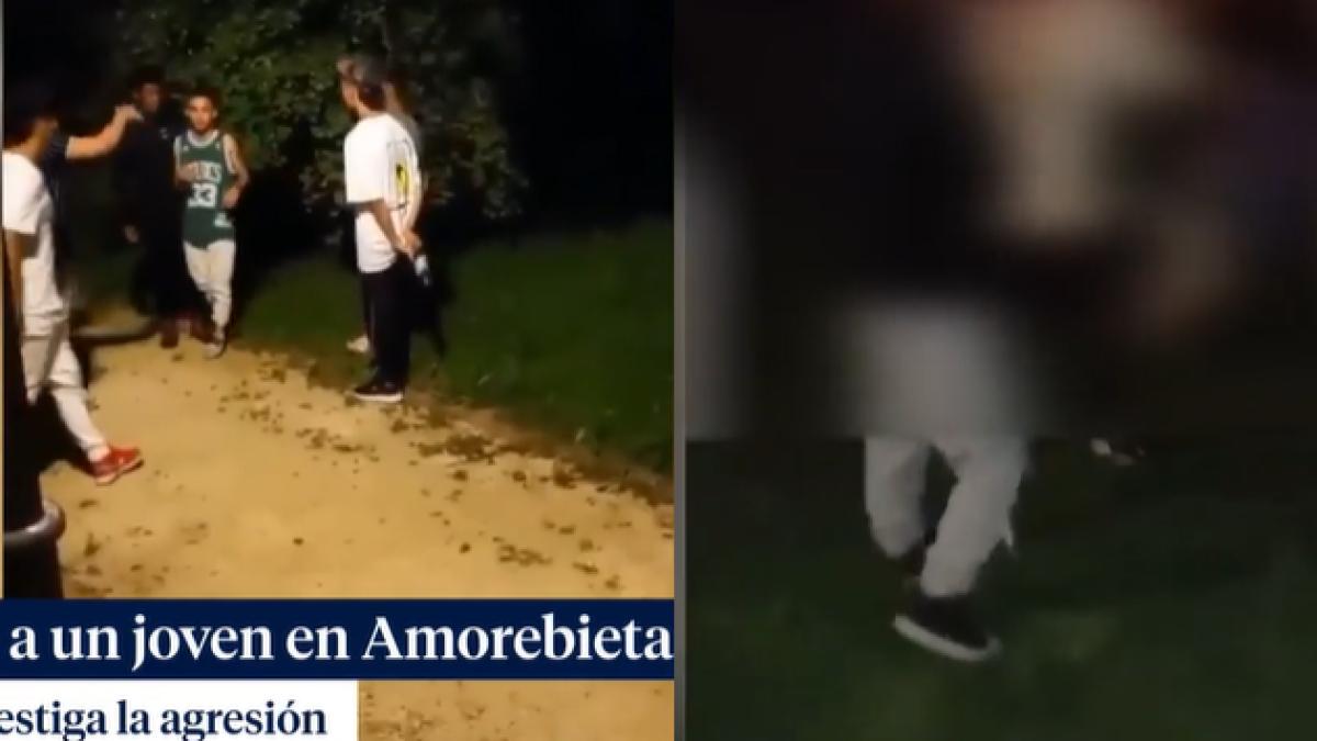 alexandru-rorman-batut-fratii-koala