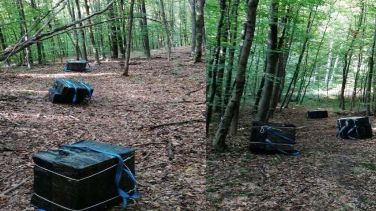 focuri-de-arma-trase-de-politistii-romani-de-frontiera--sase-persoane-au-trecut-ilegal-frontiera