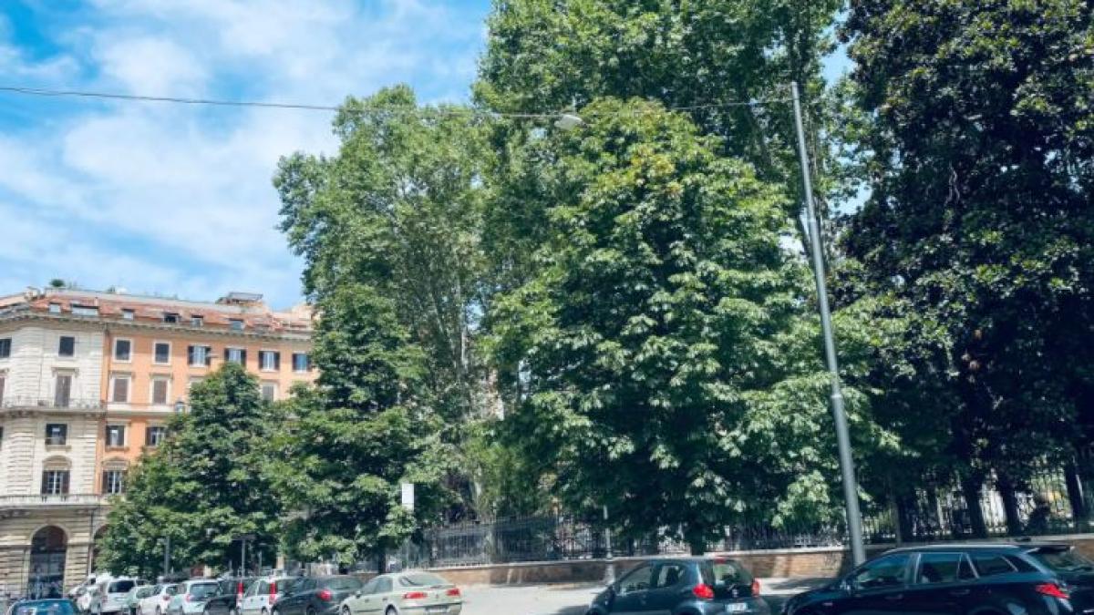 italia--doua-romance-s-au-batut-din-cauza-unui-barbat