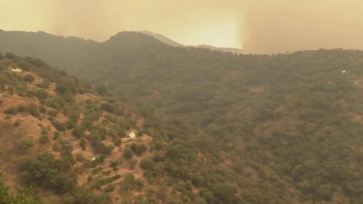 incendiu-malaga-spania