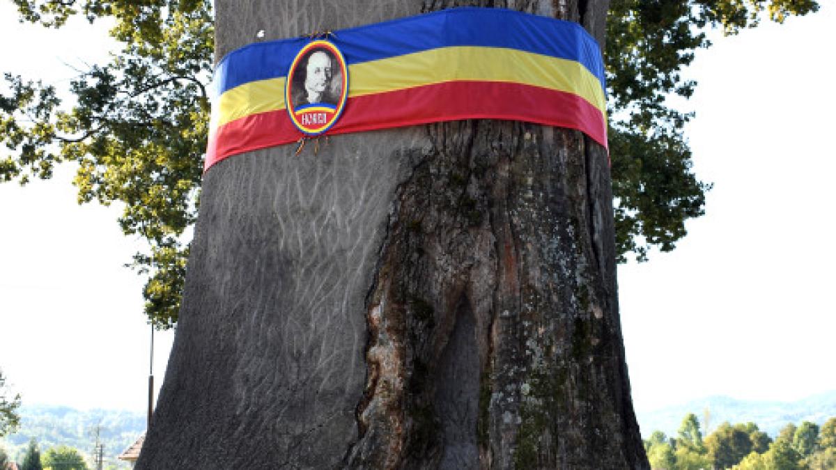 tebea-gorunul-lui-horea