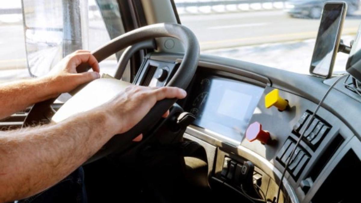 criza-de-sofer-de-tir--germania-cauta-80-000--iar-marea-britanie---100-000