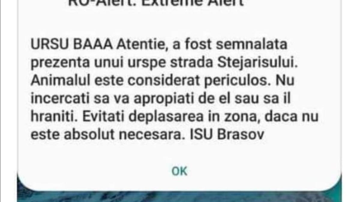 mesaj-urs-ro-alert