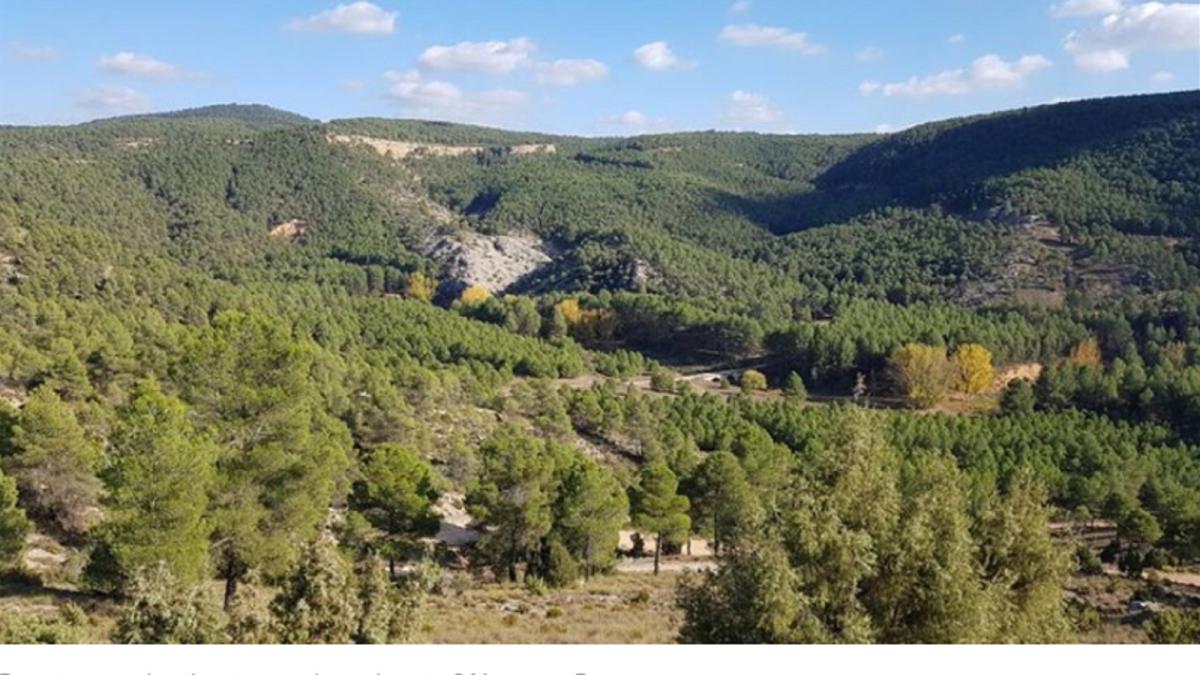 spania--un-roman--dat-disparut-de-sotie--gasit-ranit--dezorientat-si-descult