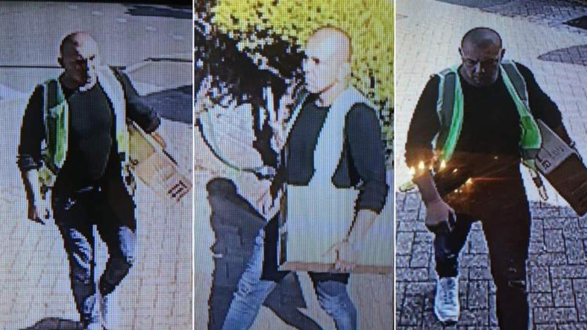 sandel_hornea_barbat_cautat