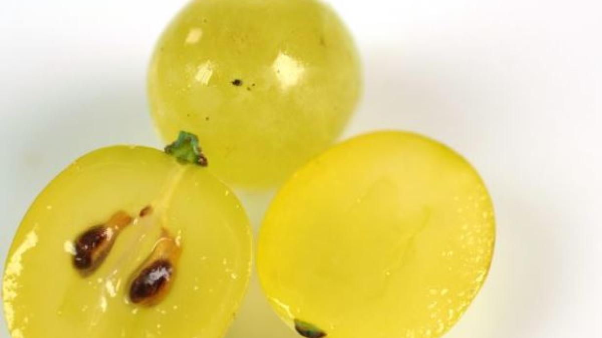 nu-aruncati-niciodata-samburii-de-strugure--au-zeci-de-beneficii-pentru-sanatate