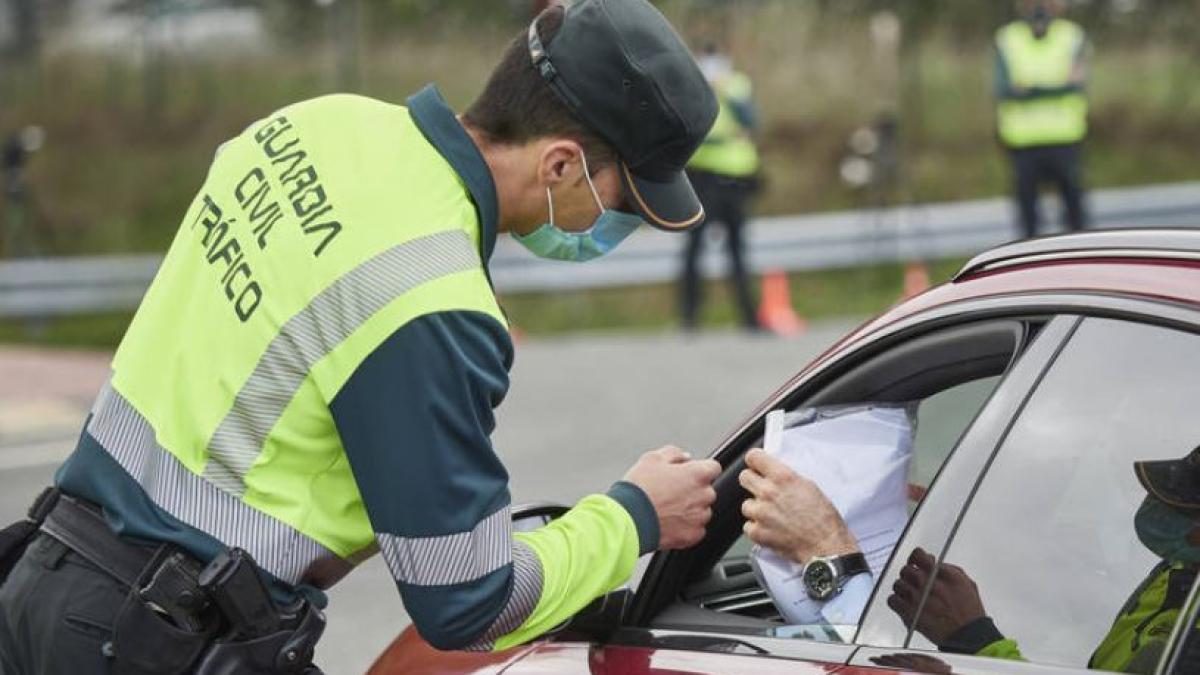 spania--grupare-infractionala-romano-spaniola--destructurata--hotii--prinsi-dupa-ce-au-furat-o-poseta