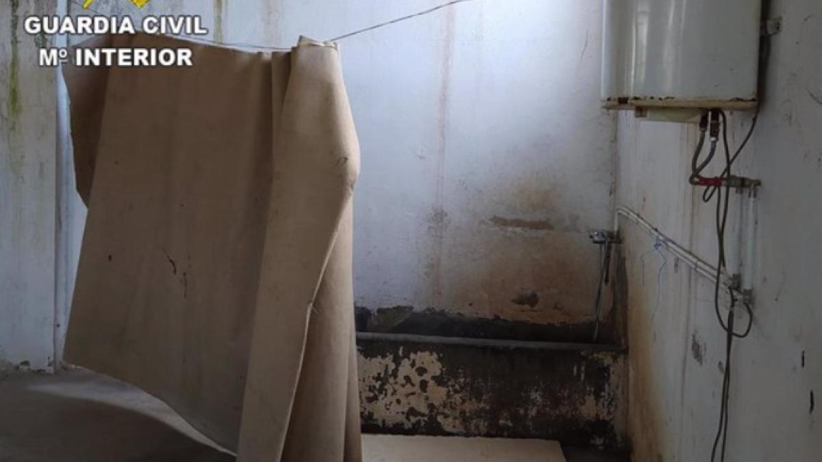 cazare-muncitori-romani-spania-toledo-pertiunea-usturoiu