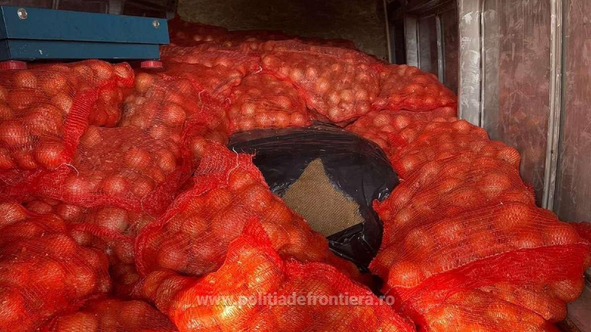 un-sofer-roman-de-microbuz-a-ascuns-800-de-kilograme-de-tutun-intr-un-transport-de-ceapa-din-bulgaria