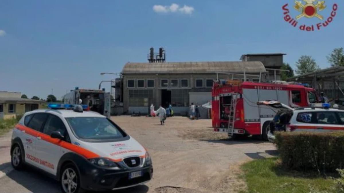 familie-ucisa-fermentatie-vin