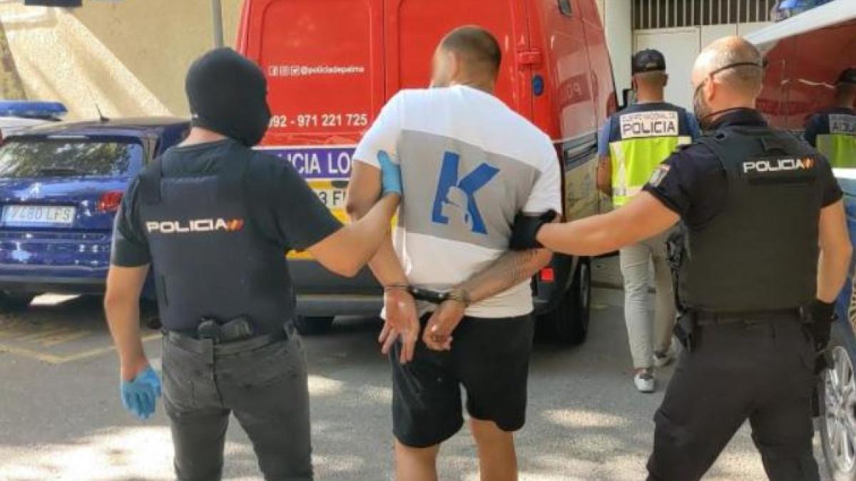 spania--hoti-romani-de-buzunare--care-jefuiau-turistii-din-mallorca--arestati