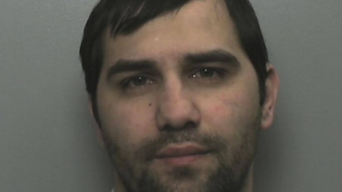 mihai-savescu-violator-roman