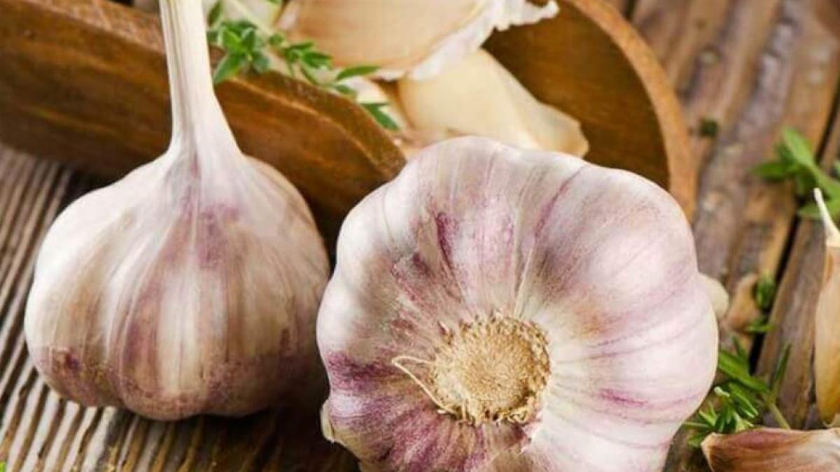 reteta-miraculoasa-impotriva-osteohondrozei-si-a-artritei--aveti-nevoie-neaparat-de-usturoi-si-ulei