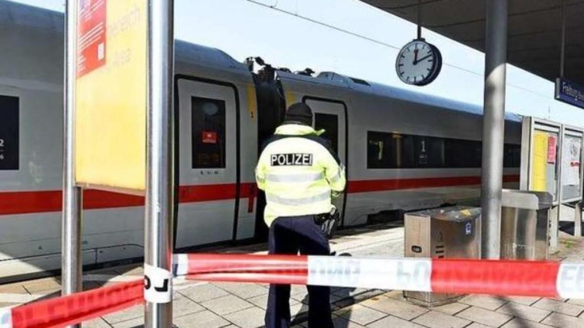 germania--un-roman-a-blocat-intrarea-intr-o-toaleta-din-gara-freiburg-si-percepea-taxe-de-la-clienti