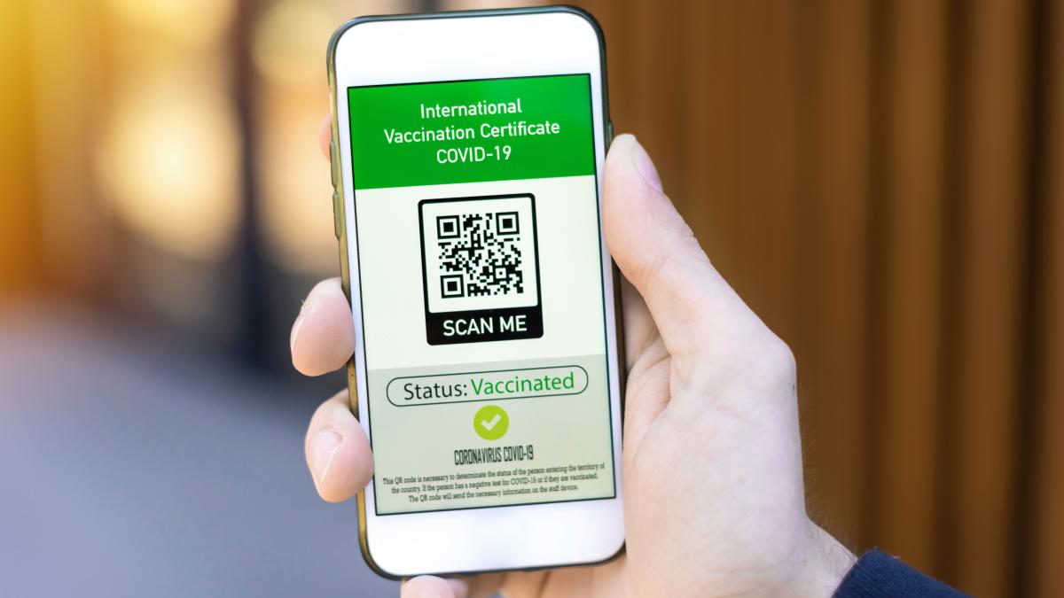 presedintele-cncd-despre-green-pass-ul-pentru-medici-sa-treaca-testul-constitutionalitatii