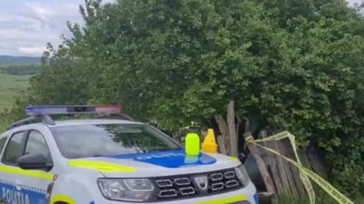 doua-fetite-din-gorj--luate-cu-roaba-de-un-vecin--care-ar-fi-incercat-sa-le-violeze