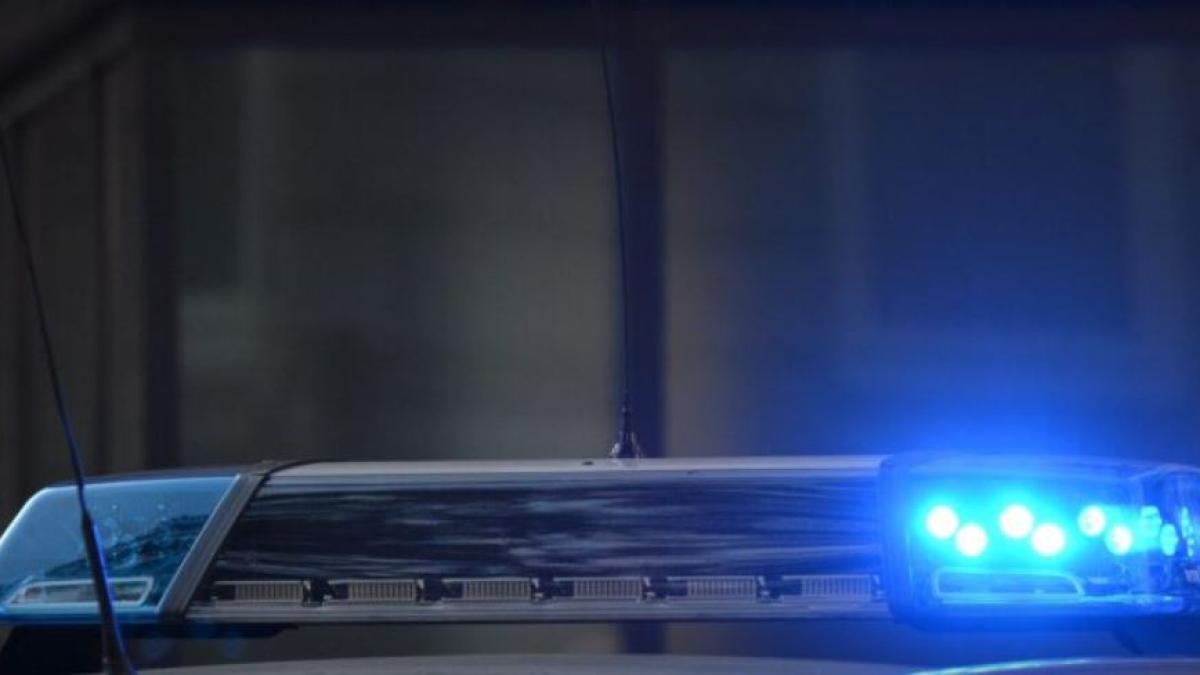 italia--un-roman-a-golit-vitrina-unul-magazin--barbatul-a-furat-conserve-de-ton--de-peste-250-de-euro