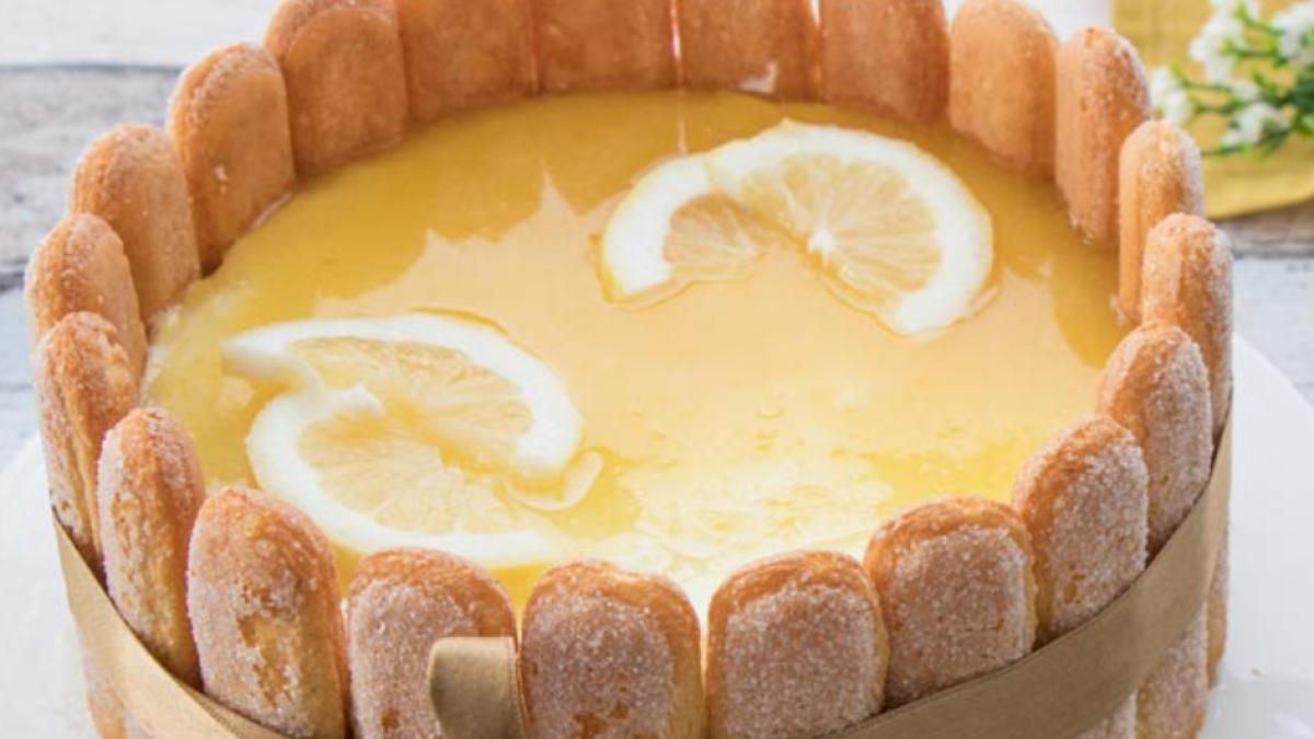 sarlota-cu-lamaie--fara-coacere--un-desert-cu-un-look-spectaculos-si-un-gust-divin-main