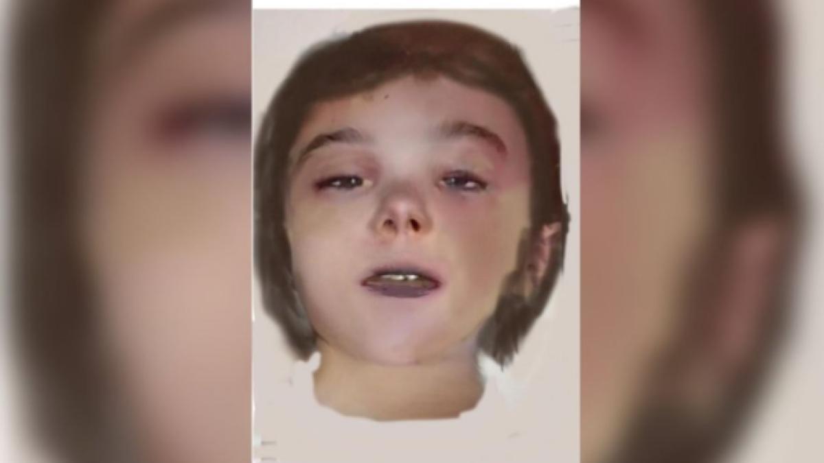 fetita-ucisa-arad-incendiata