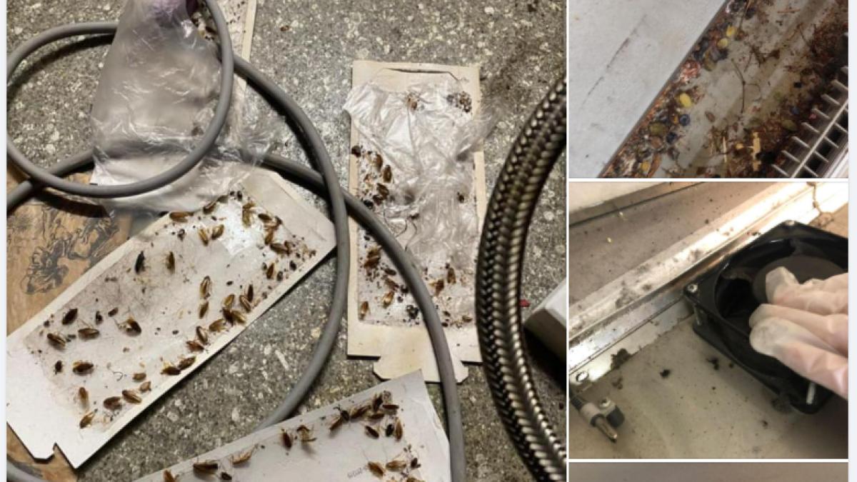 anpc-inchidere-mega-image-main