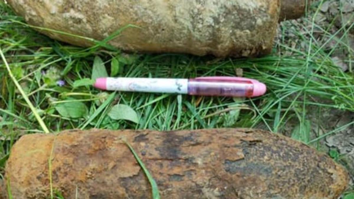 un-roman-a-mers-dupa-ciuperci--dar-a-gasit-patru-bombe