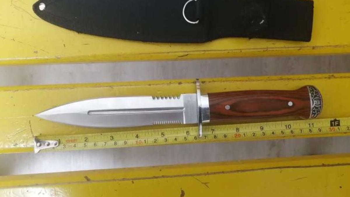 tanar-roman--depistat-de-jandarmi-intr-un-parc-fara-masca-de-protectie-si-cu-un-cutit-tip-baioneta