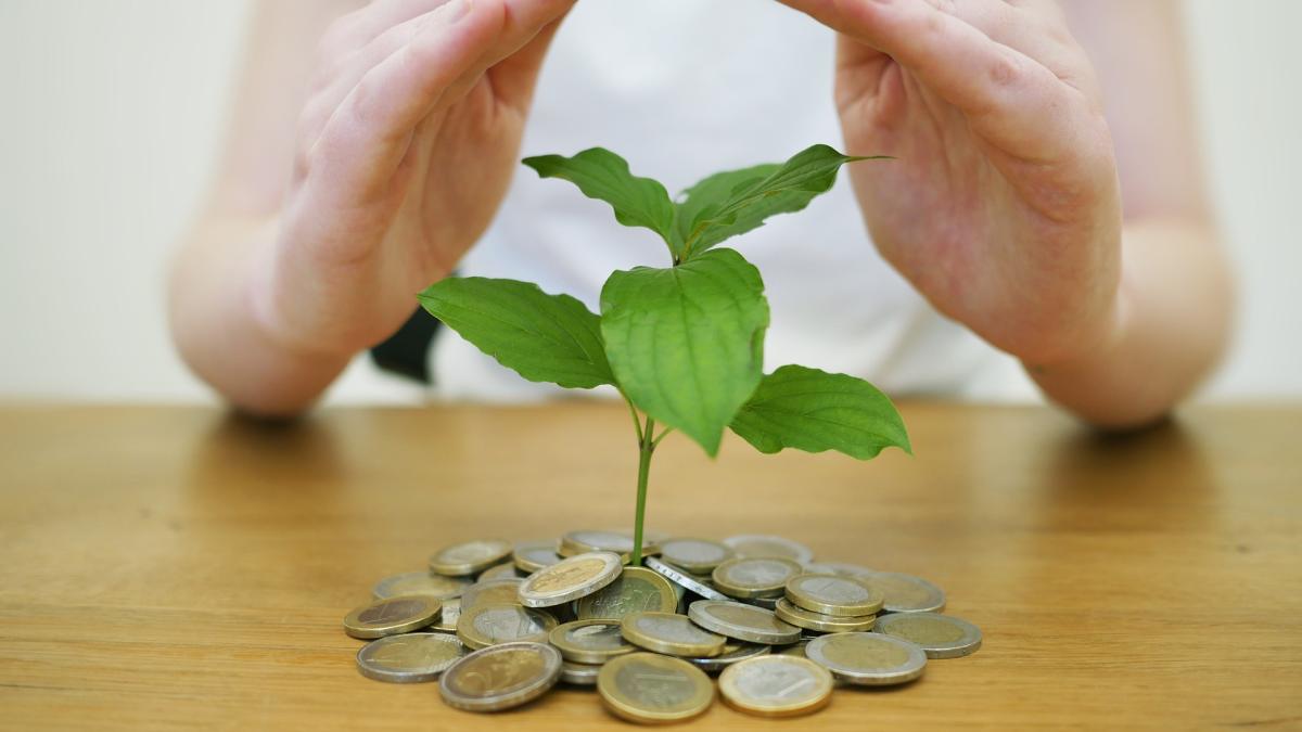 10-obiecte-care-iti-aduc-bogatie-si-noroc-in-casa