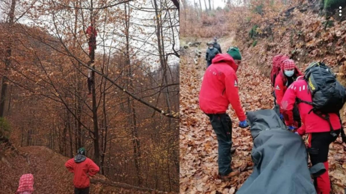 descoperire-valea-usturoiului-cadavru-atarnat-in-copac