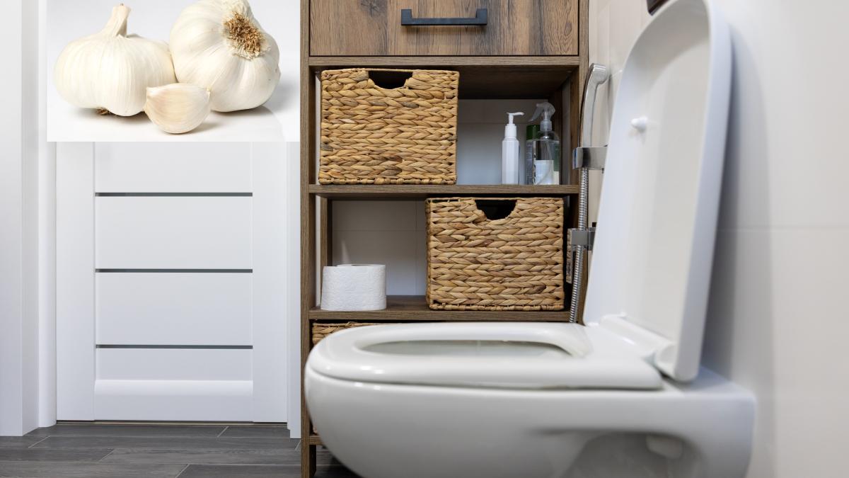 de-ce-sa-pui-un-catel-de-usturoi-in-toaleta--trucul-inteligent--aliatul-ideal-pentru-gospodine