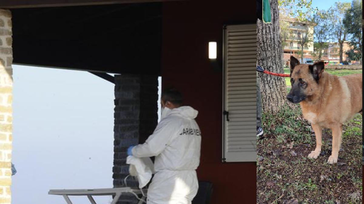 romanca-moarta-italia-in-casa-sot-paralizat-catei