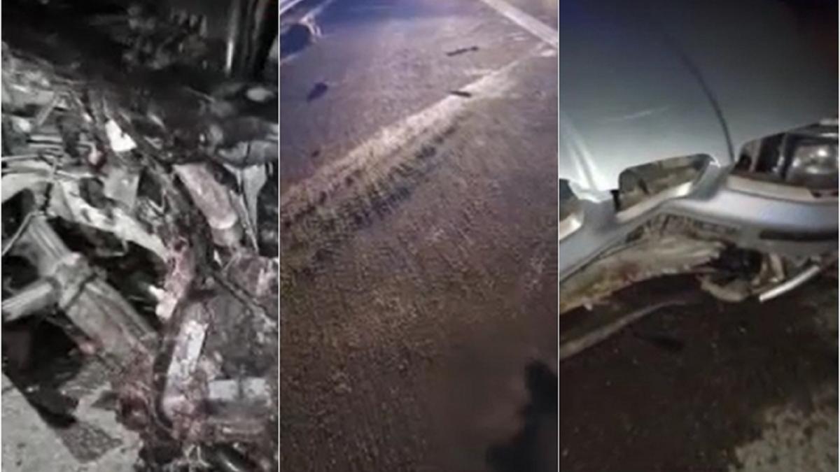 la-un-pas-de-tragedie-pe-autostrada-soarelui-turma-de-porci--spulberata-de-masini