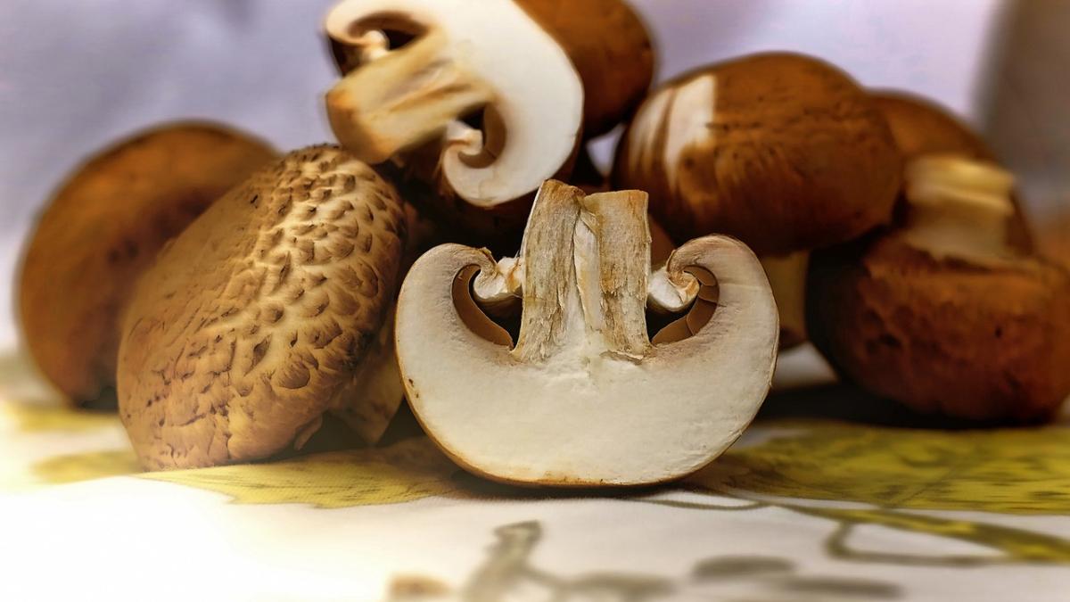 3-metode-de-conservare-a-ciupercilor-la-indemana-oricui--asa-le-ai-proaspete-tot-anul