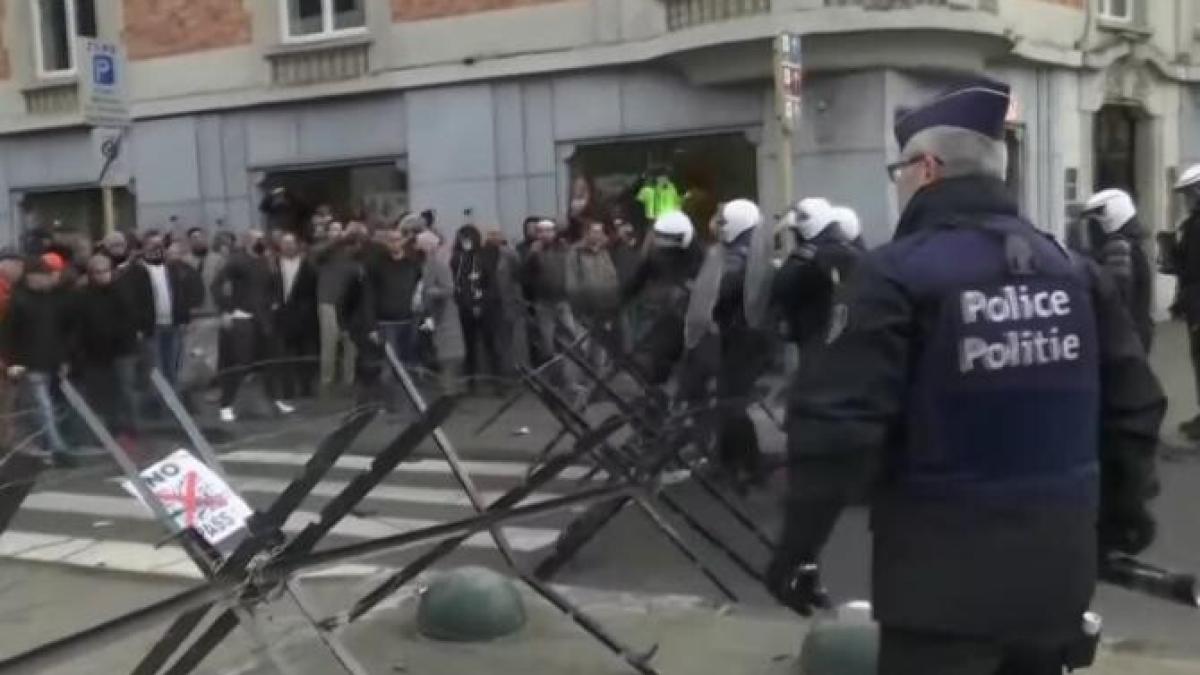 proteste-belgia