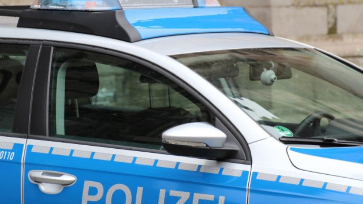 germania--roman--oprit-pe-drum-federal--pentru-un-control--barbatul-a-fost-dat-jos-din-masina-si-dus-direct-la-puscarie