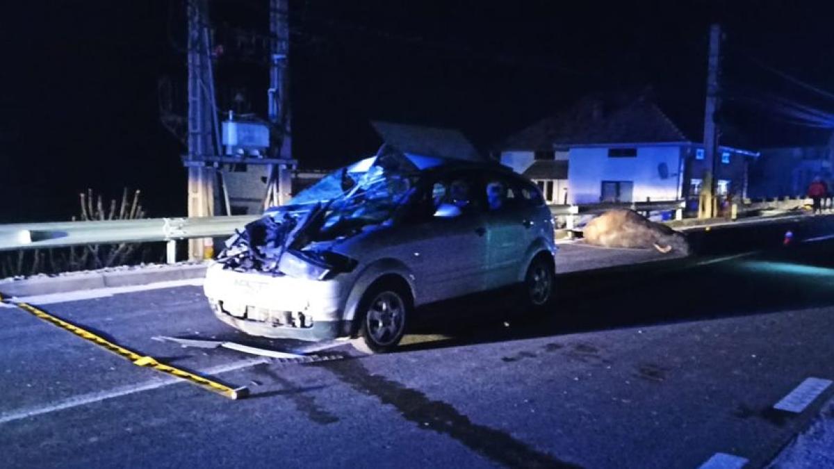 accident-poiana-ilvei