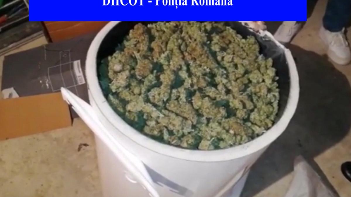 droguri-la-galeata-romania-spania