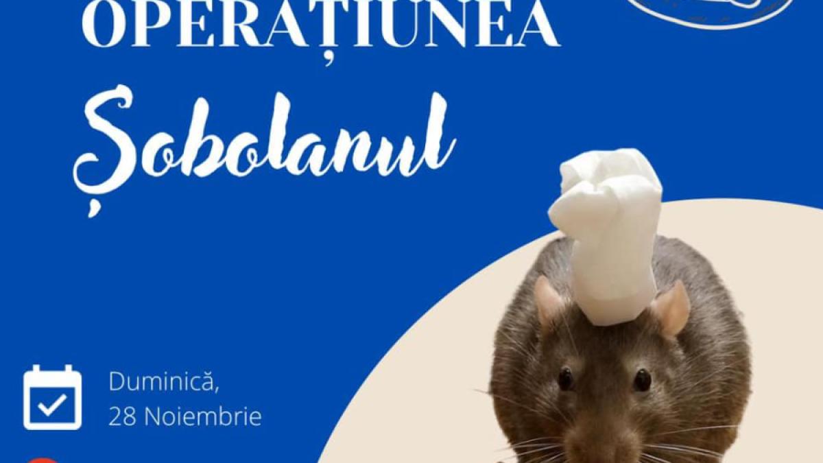 anpc-operatiunea-sobolanul