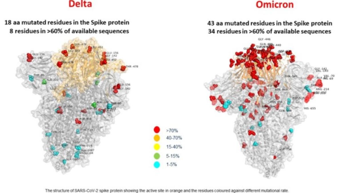 iamgine-tulpina-omicron