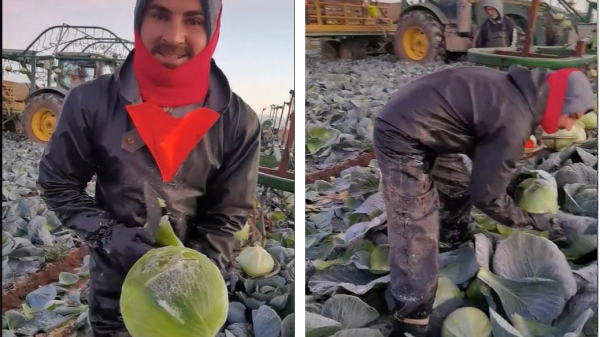 cosmin-munca-anglia-varzza-bere-suc