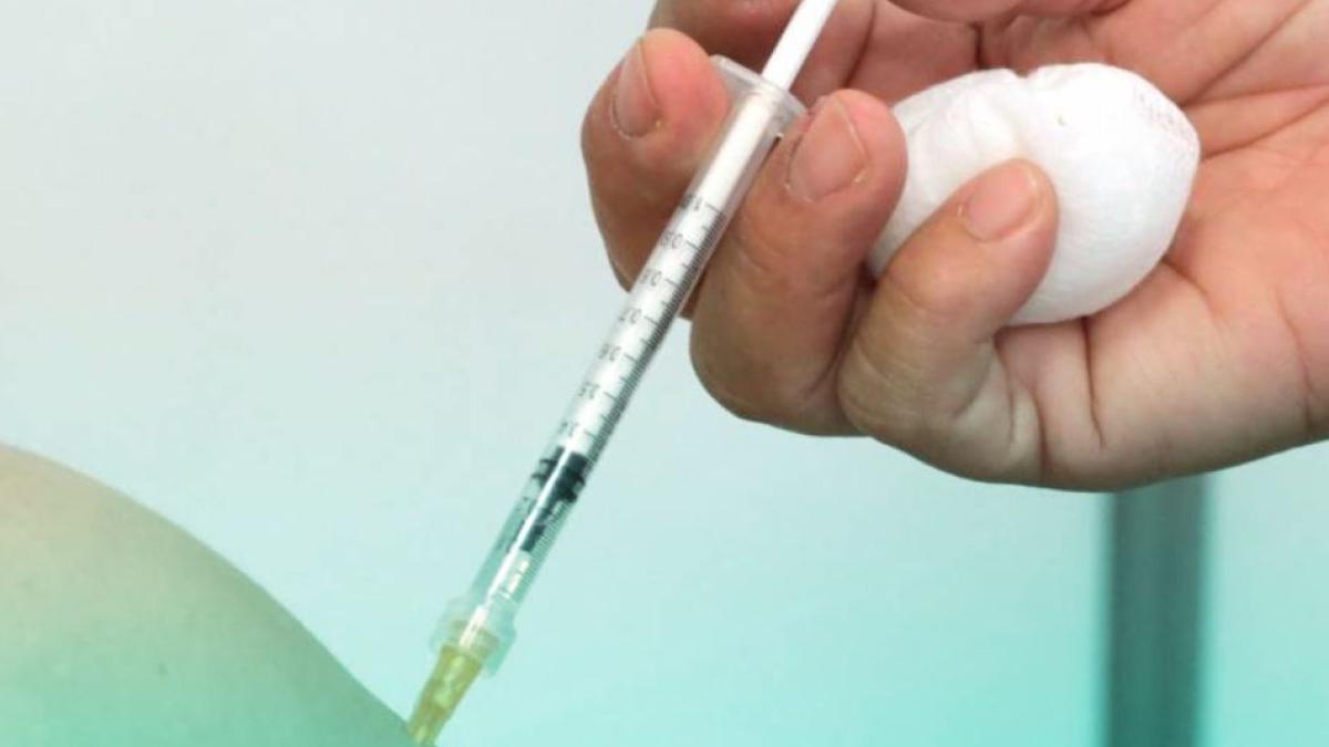 italia--un-barbat-a-incercat-sa-se-vaccineze-intr-un-brat-fals-din-silicon--in-speranta-ca-va-obtine-certificatul-verde