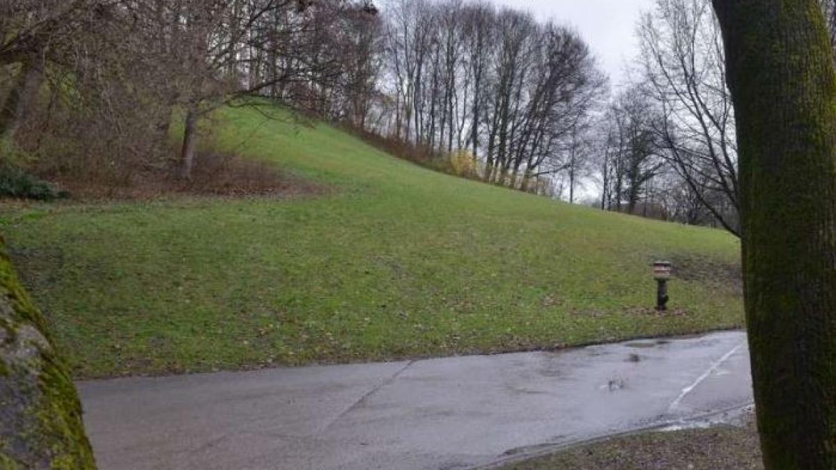 germania--roman--arestat-pentru-agresiune-sexuala--barbatul-este-acuzat-de-fapte-exhibitioniste---1