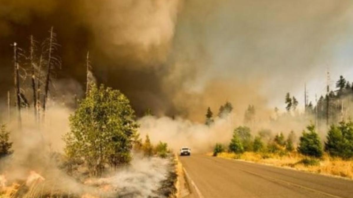 schimbari_climatice_avertizare