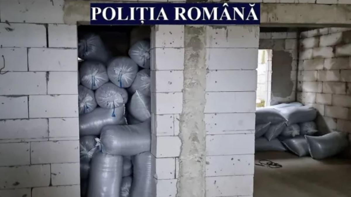 roman--arestat-preventiv-pentru-furtul-a-peste-12-tone-de-seminte-de-floarea-soarelui-de-pe-o-barja