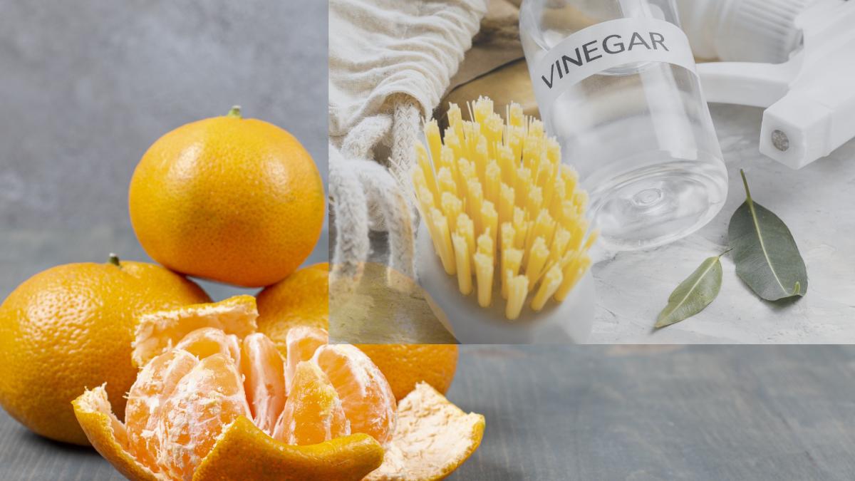 amesteca-coji-de-mandarine-cu-otet--trucul-care-iti-lasa-casa-luna-si-parfumata